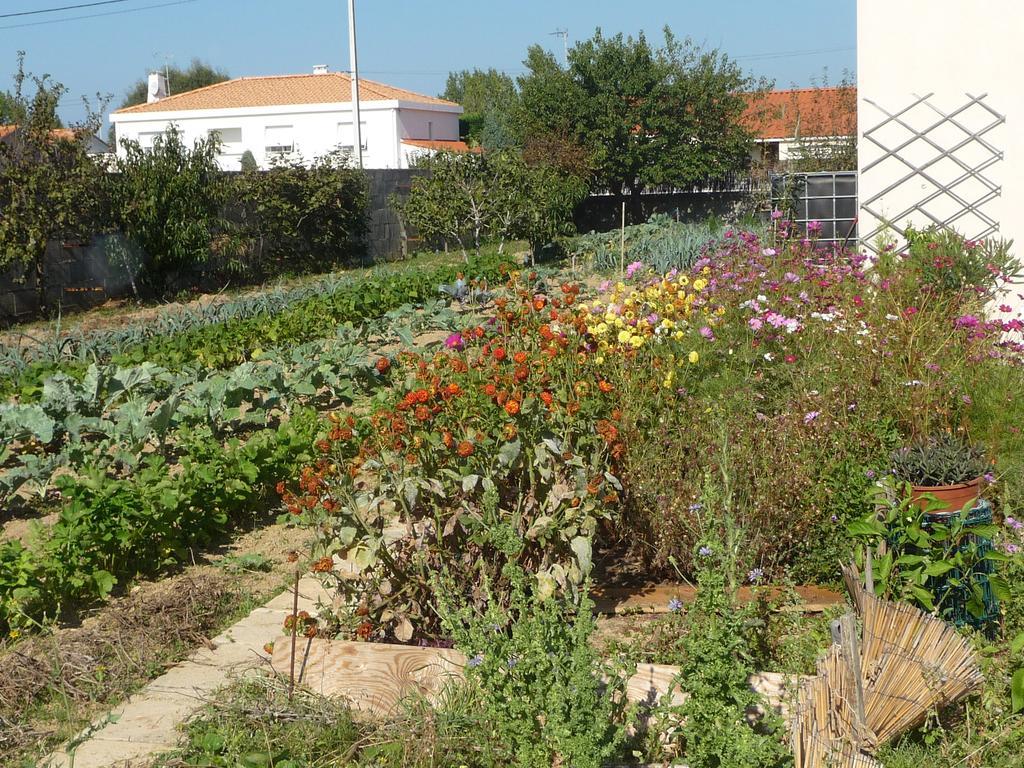 Chambre d'hôte Fleur de Potager Les Sables-dʼOlonne Exterior foto