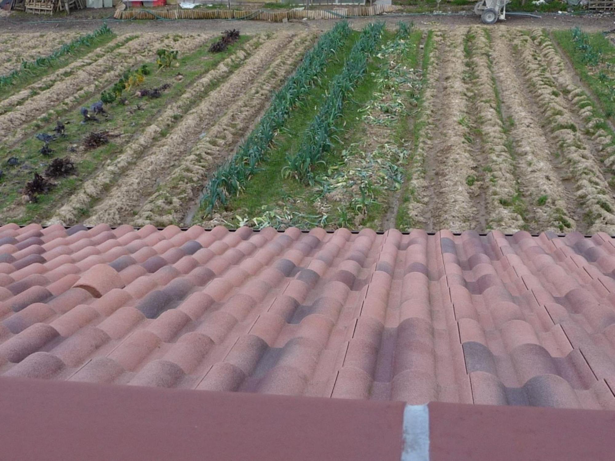 Chambre d'hôte Fleur de Potager Les Sables-dʼOlonne Exterior foto